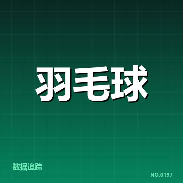 全英公开赛技战术特点：李伟辉的变化与比赛策略疑问 - NG28
